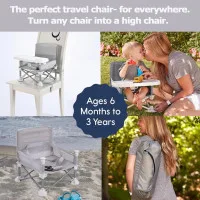 Portable Foldable Baby Chair with Canopy & Feeding Tray (Gray/Black)